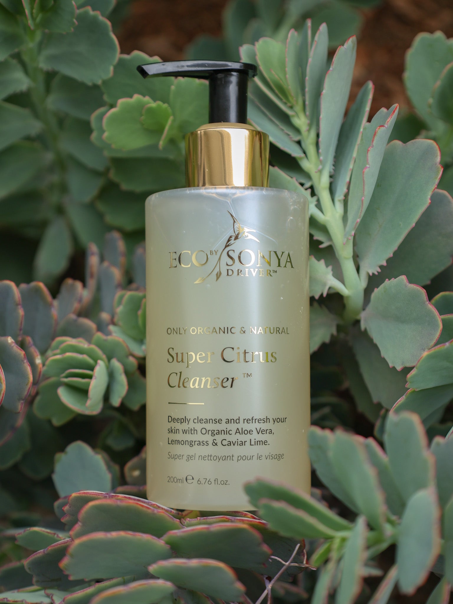Have You Got Vitamin C in Your Skin Care Routine?